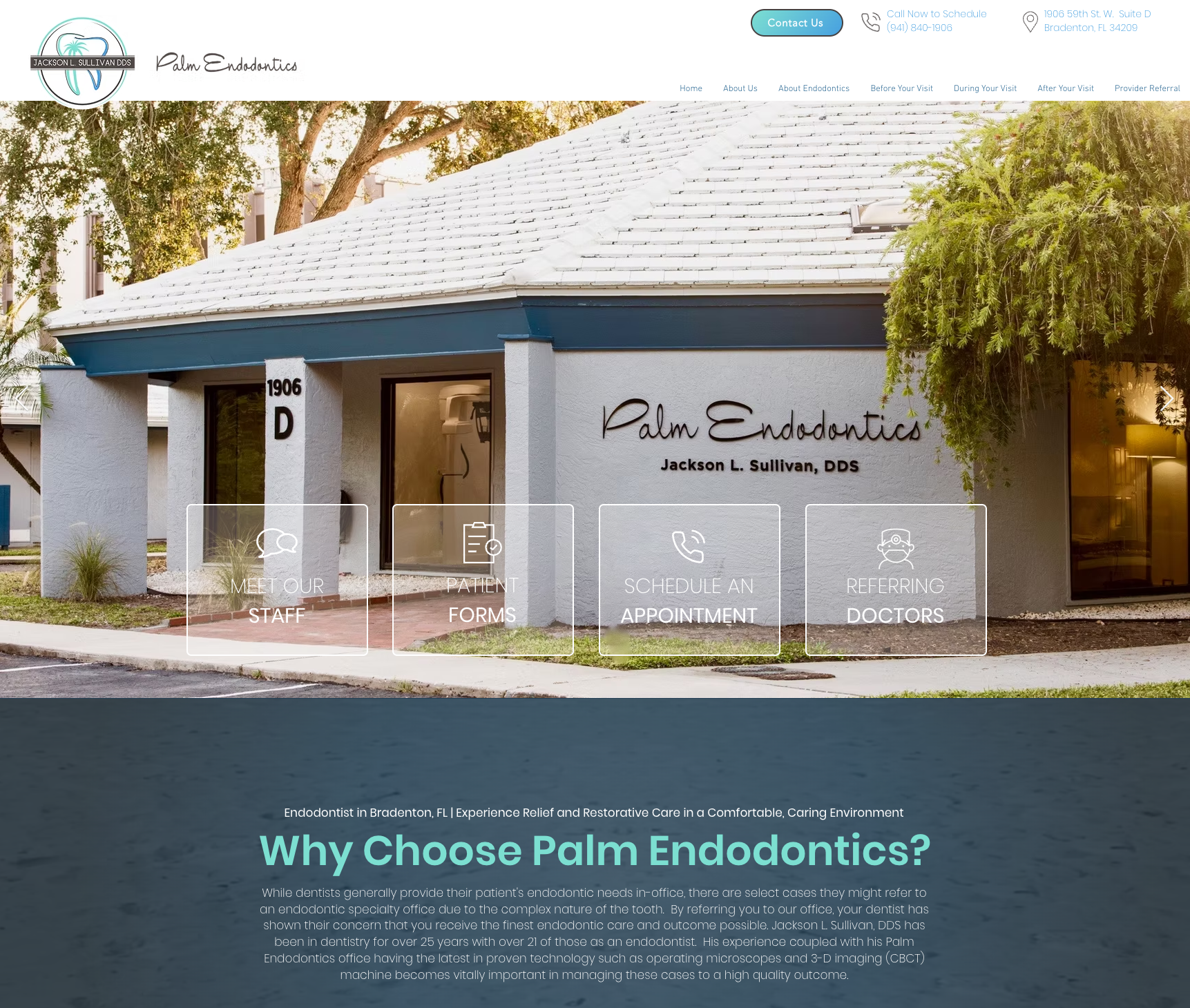 Palm Endodontics: From Launch to Success